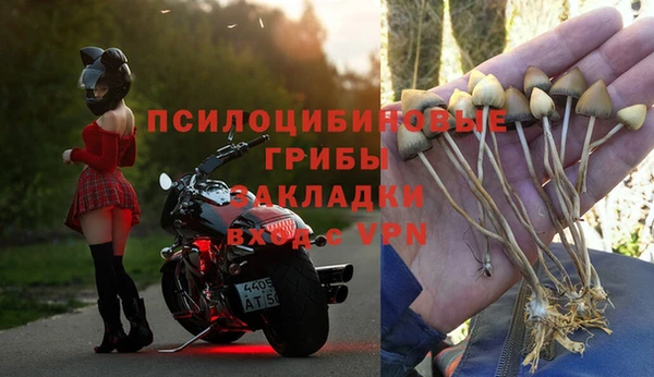 твердый Балахна
