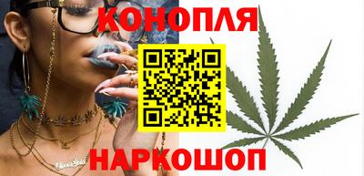 apvp Краснодар