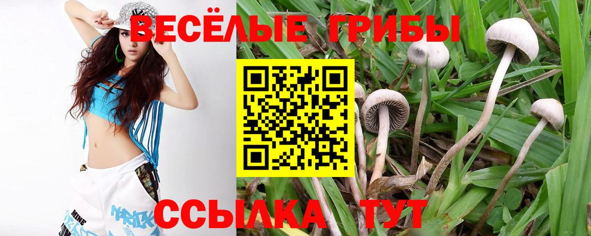 Псилоцибиновые грибы Cubensis  хочу наркоту  Псилоцибиновые грибы Magic Shrooms  Корсаков  Вход с VPN 